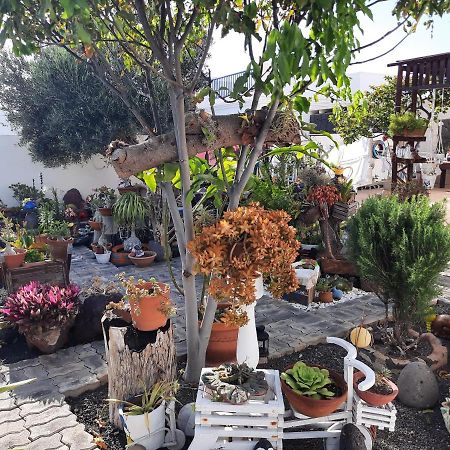 Apartamento Tranquilo ปลายาบลังกา ภายนอก รูปภาพ